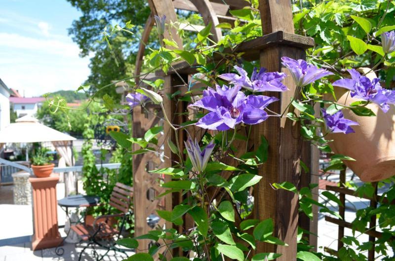 Landhotel Neukirchner Hof Neukirchen Bei Sulzbach-Rosenberg Ngoại thất bức ảnh